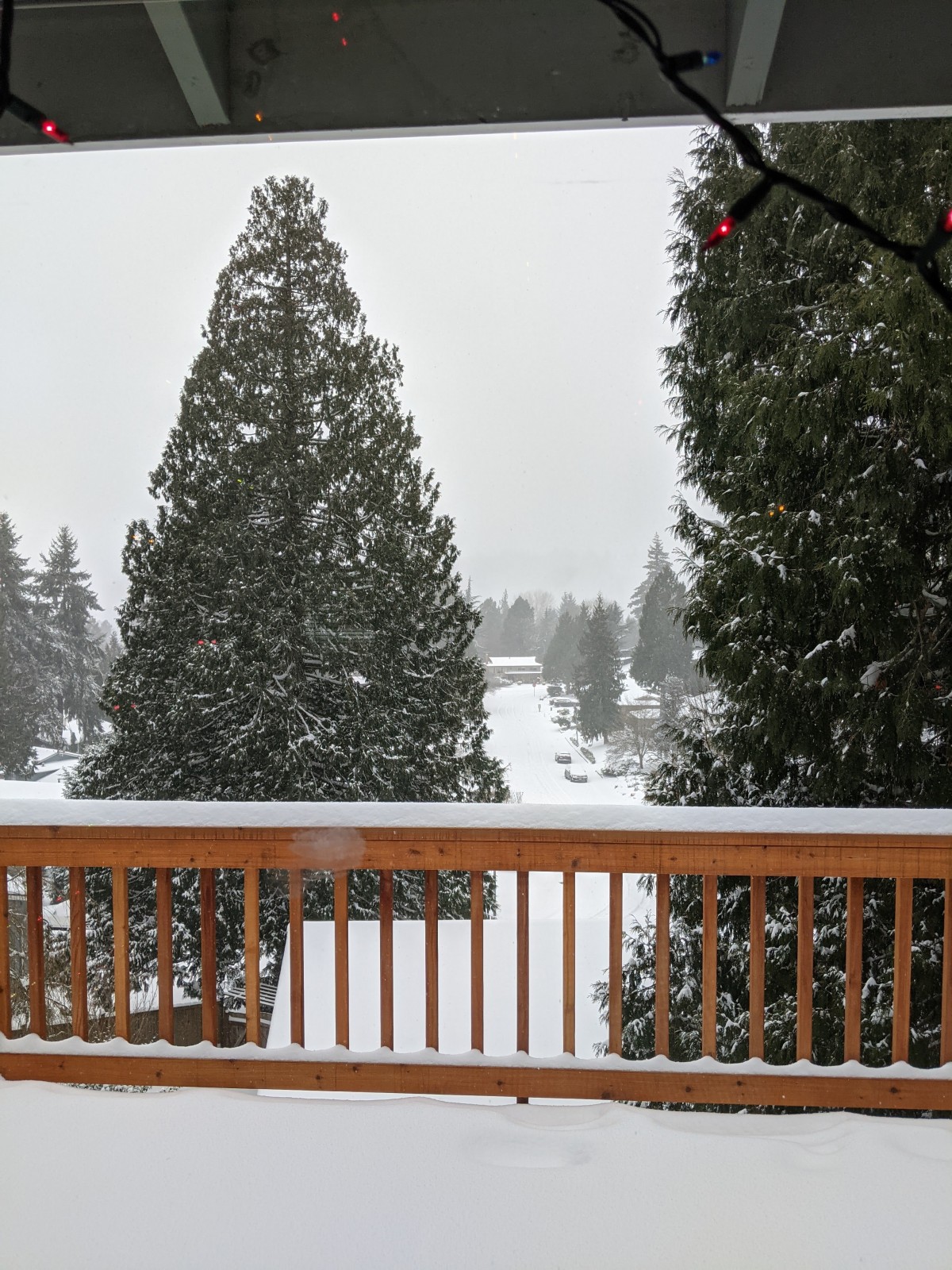 feb_2021_snowy