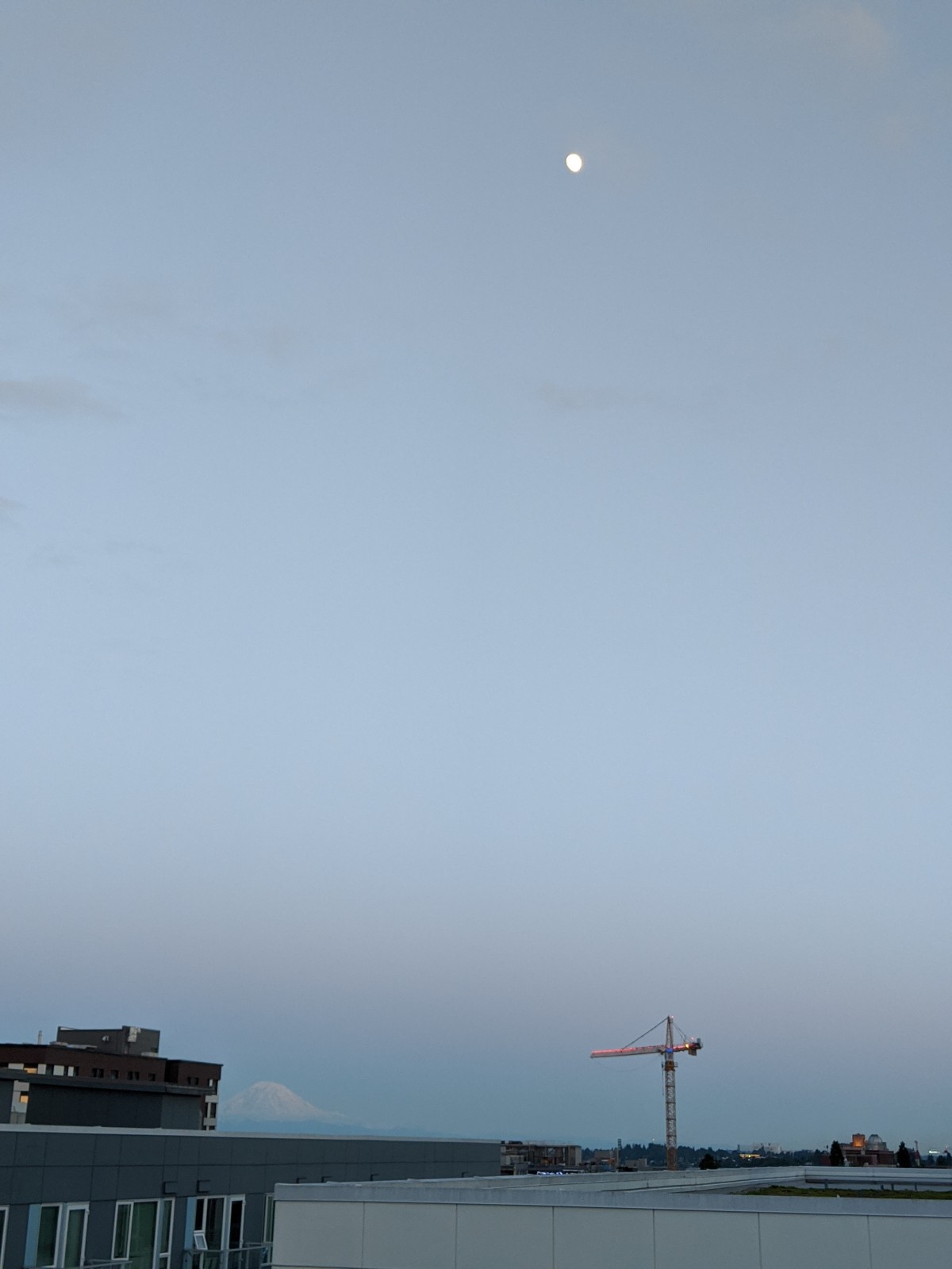 june_2020_crane_moon_rainier