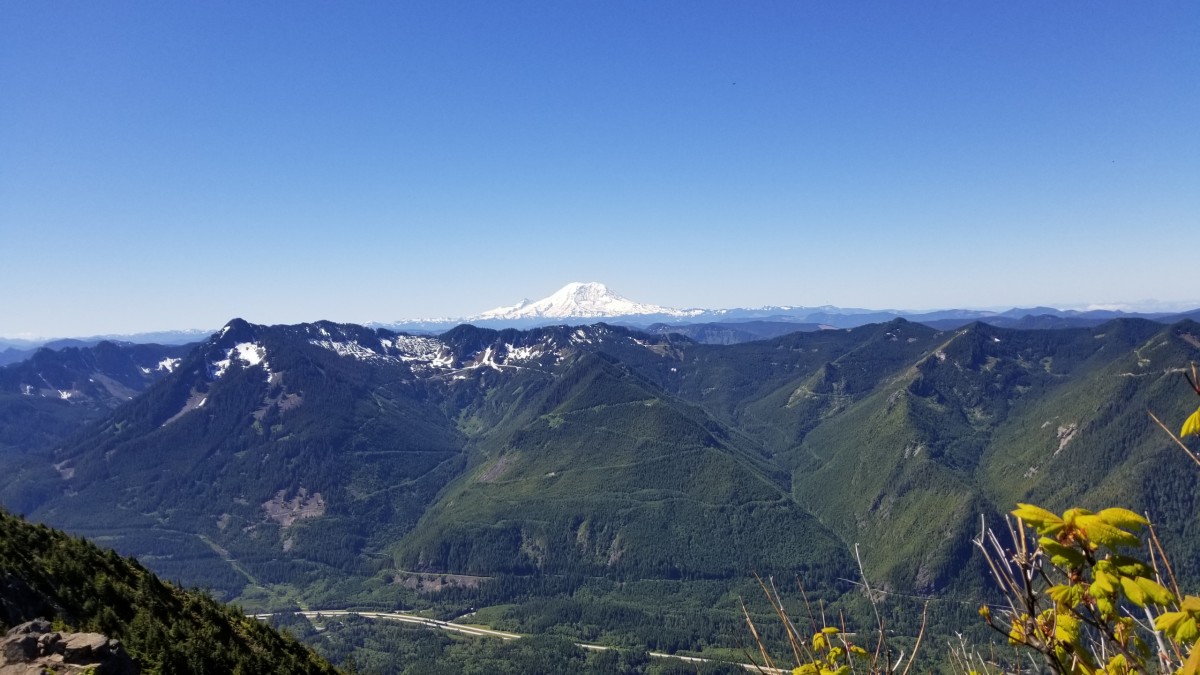 june_2021_mailbox_rainier.jpeg